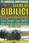 5481d3edf110afcabc2352563