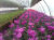 Image028