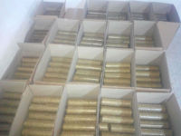 bricheti-bio