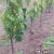 741283086-sfoara-de-legat