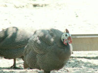 Copy of 9874_101112
