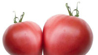 Tomate-nedeterminate-semitimpurii-Rozovo-Sartse-Inima-roz-Seminte-de-Rosii-bulgaresti-Florian-Bulgaria