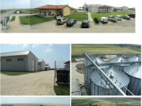 alex fermaaaa teleor