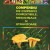 Coperta 1 Compendiu - Copy