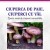 Ciup.cu val F.Mica (1)