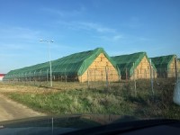 IMG_4778 m