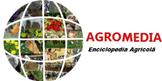 Agromedia - Enciclopedia Agricola